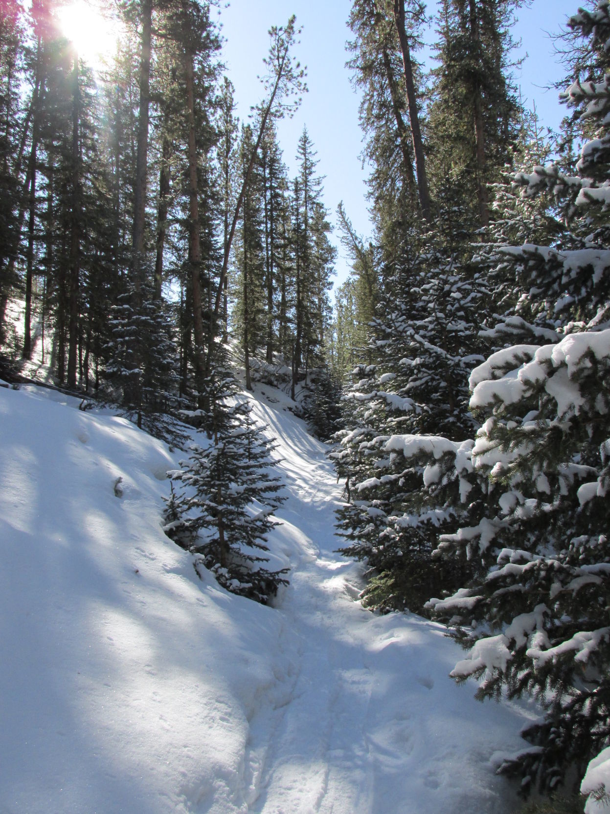 032118-nws-readerphoto